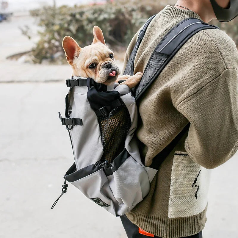 Puppy Medium Dog Backpack Outdoor Travel for Small Dogs Breathable Walking French Bulldog Carrier Bags Accessories Pet Supplies